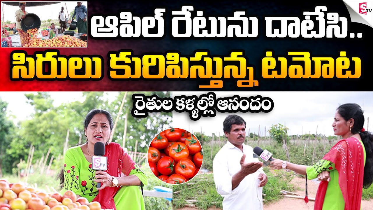 కొత్త రికార్డులు సృష్టిస్తున్న టమాటా ధరలు : Vikarabad Farmer about Tomato Price hike in Market