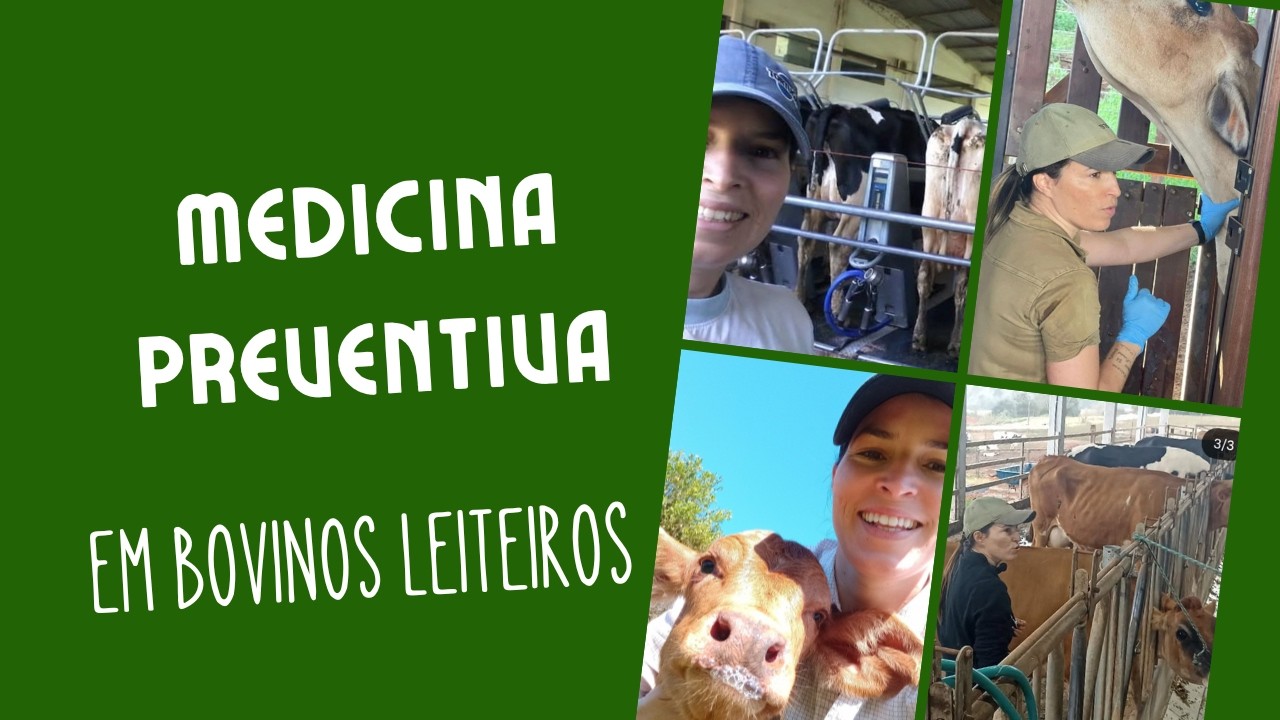 Medicina Preventiva na Pecuária: prevenir é mais barato que tratar