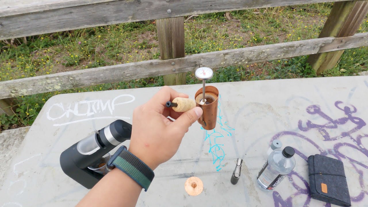 Just a Boy and His Bripe
