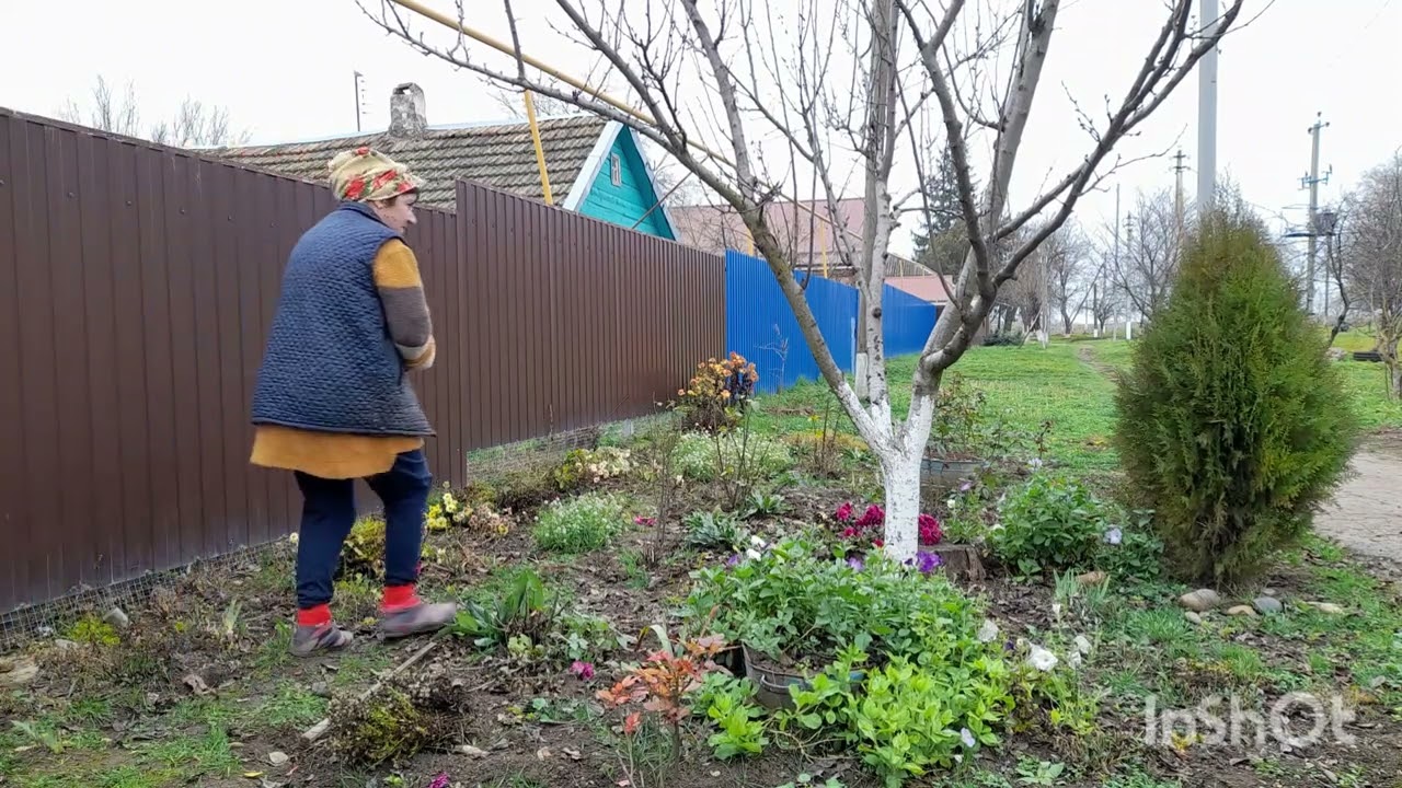 Жизнь в селе/ выкопала канны/ убрала все цветы/
