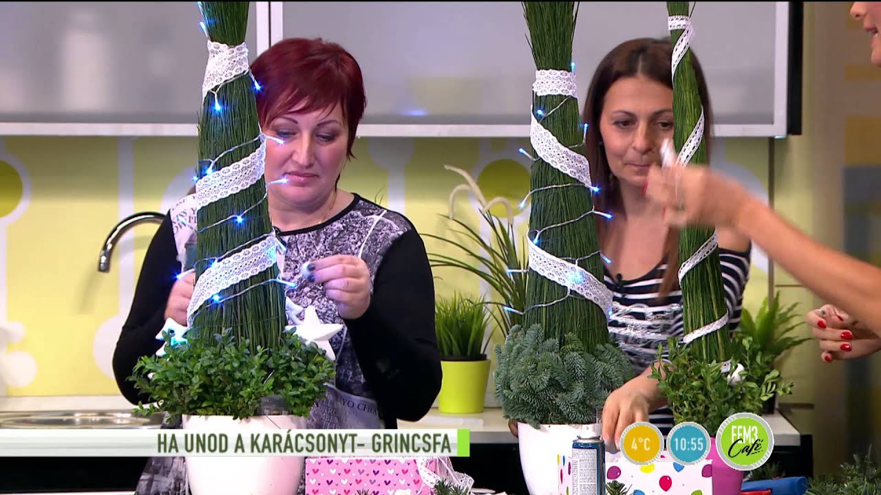 Berki saját készítésű karácsonyfával lepi meg Natit! - 2015.12.08. - tv2.hu/fem3cafe