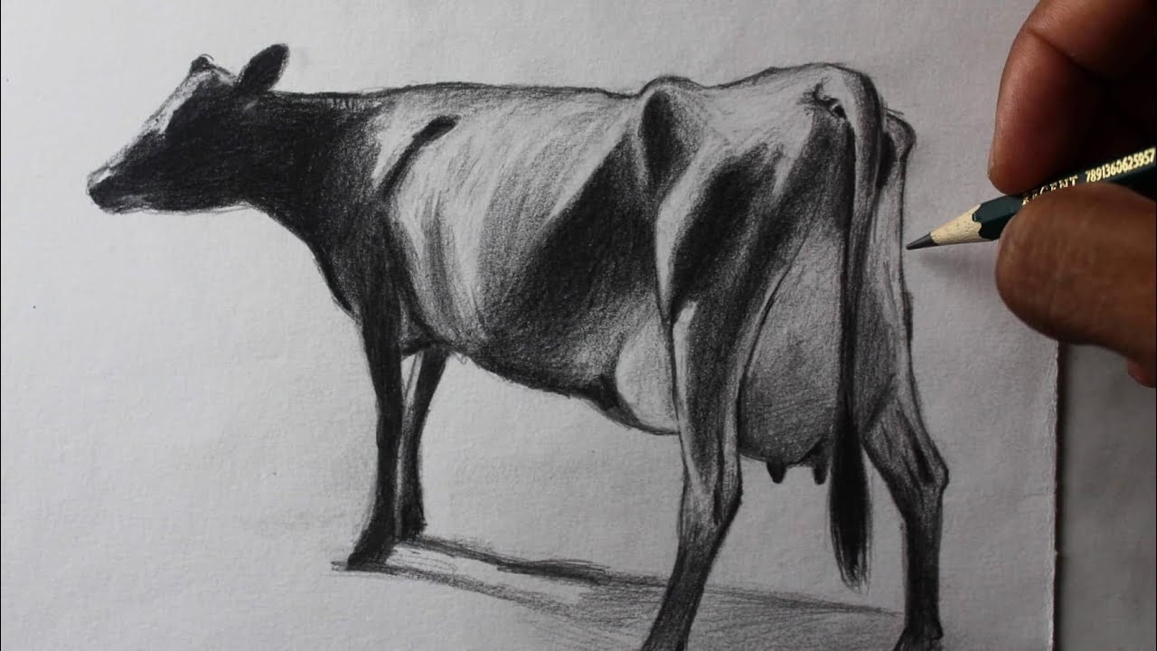 Como desenhar uma vaca Jersey