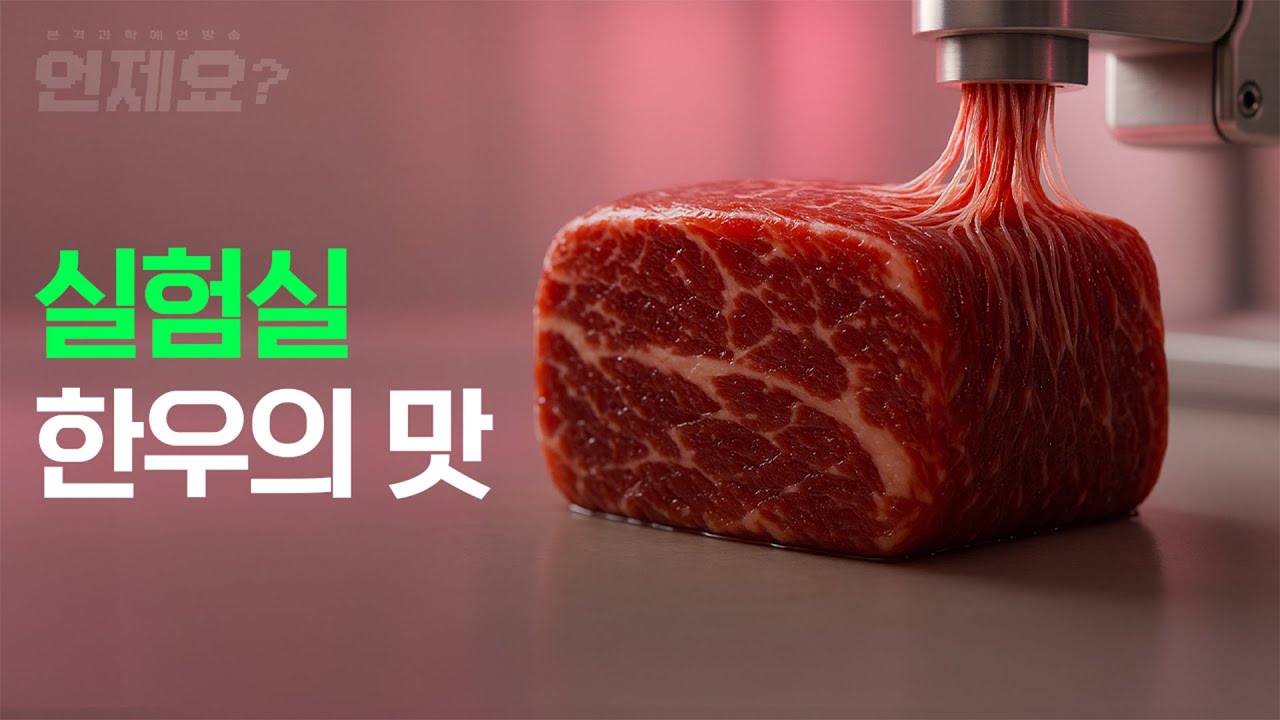 배양육 스테이크 먹방 도전! 혀로 느끼는 배양육의 원리 l 언제요 ep05