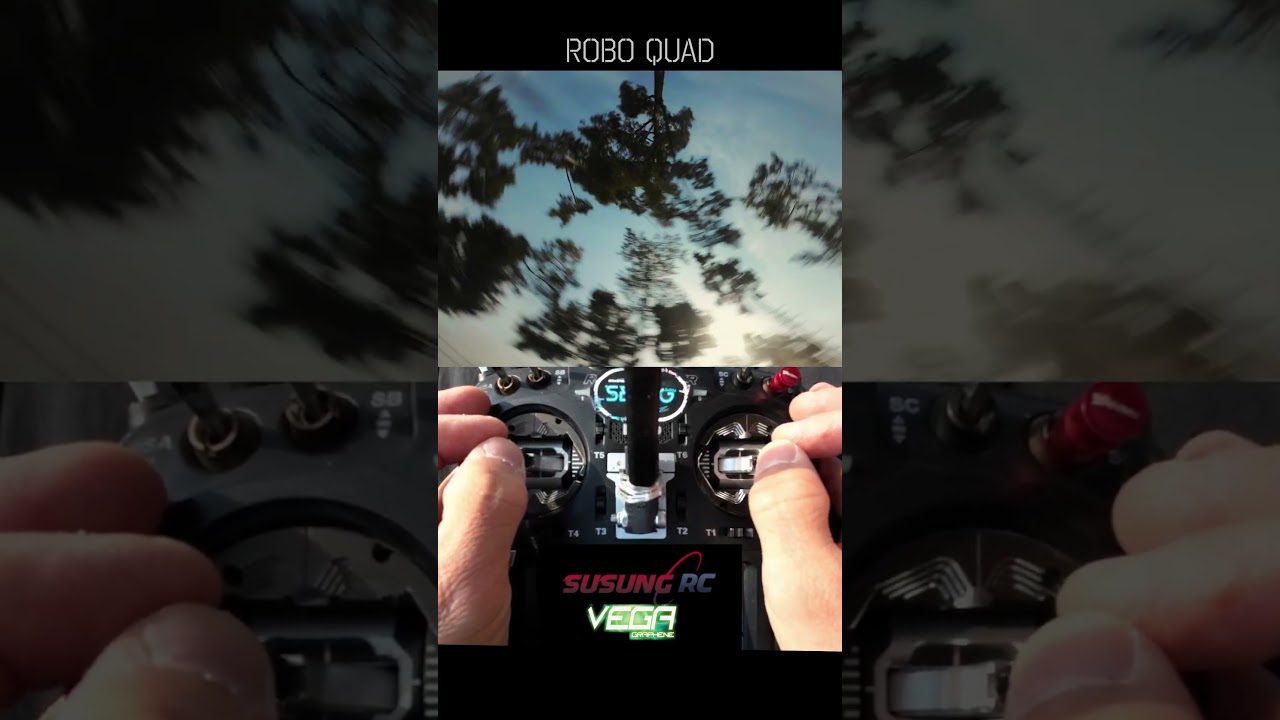 Pine tree dance / FPV stickcam 