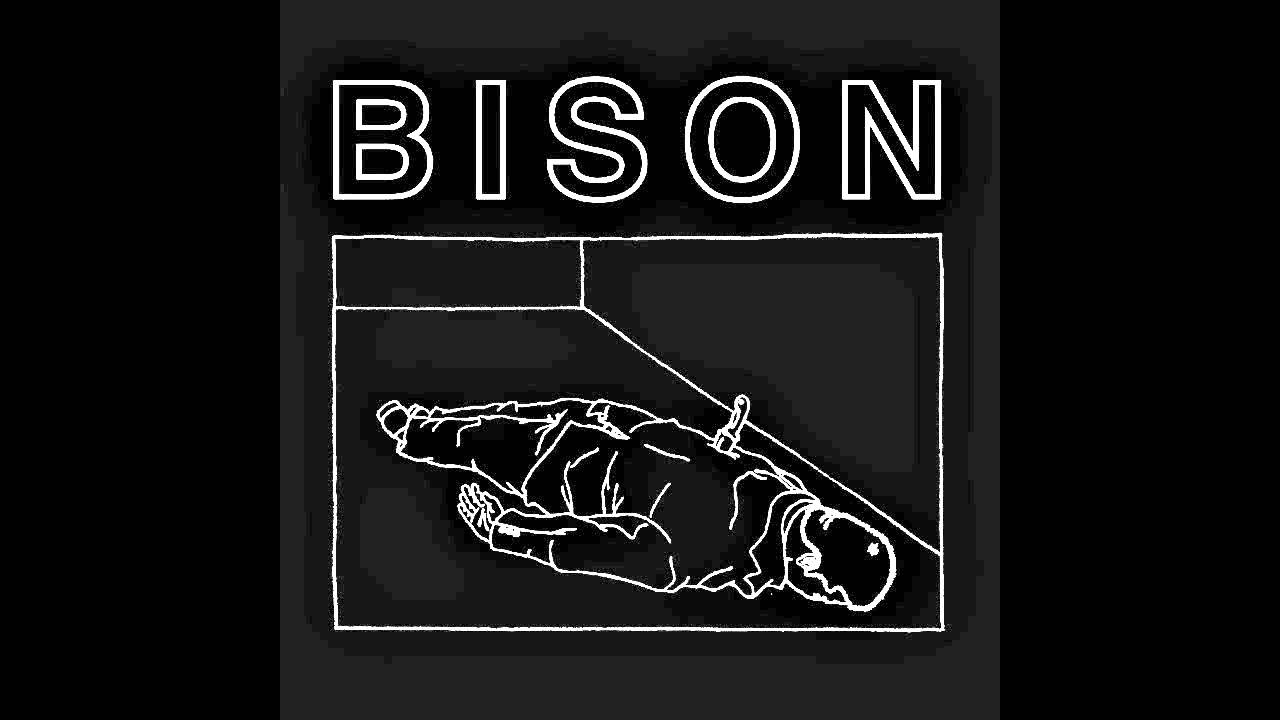 Bison 