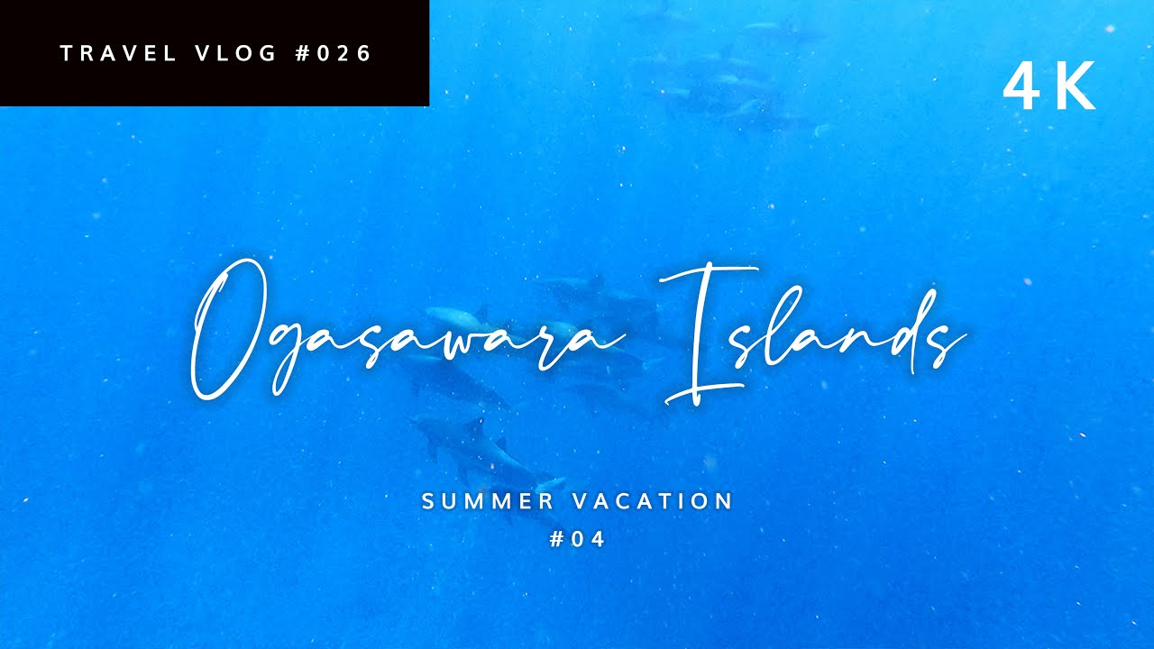 イルカと泳ぐ🐬絶景シュノーケリングと真夏の南島【小笠原・父島旅 2021年夏  #04】