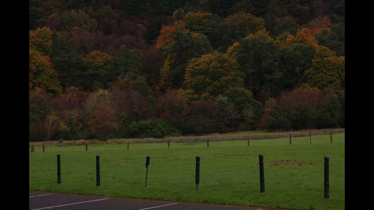two weeks of fall
