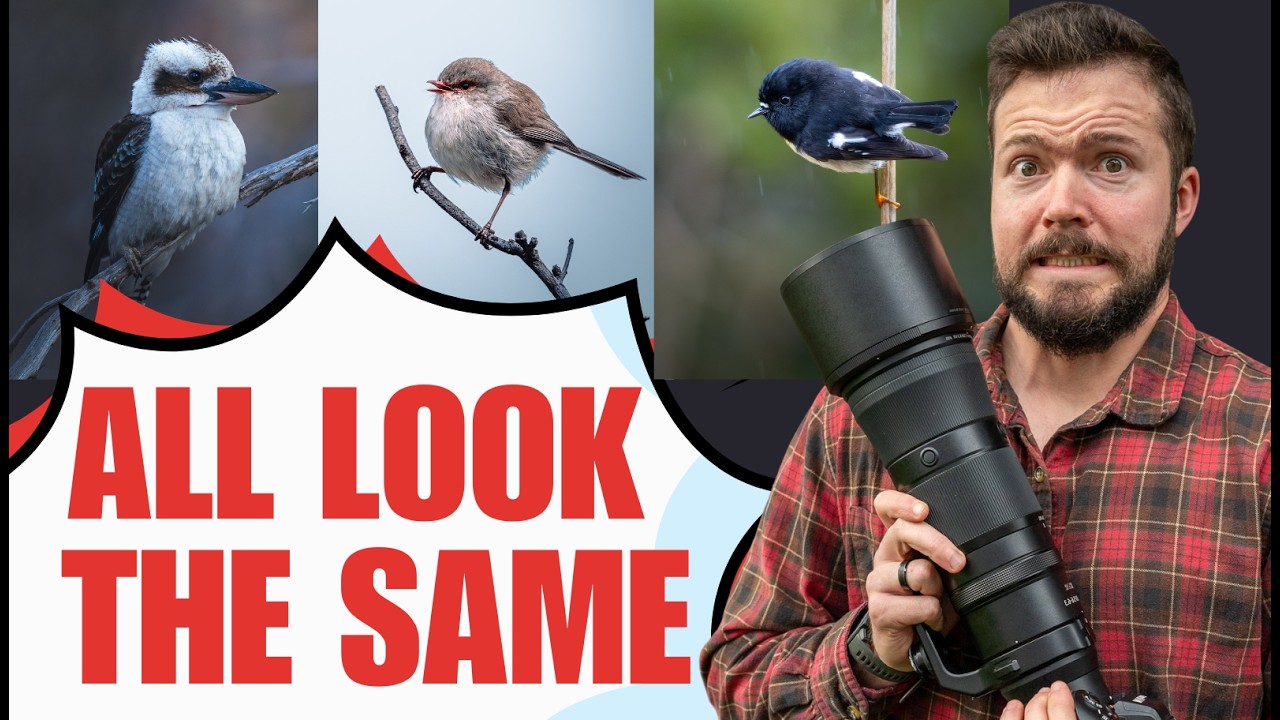 Why Most Wildlife Photos Are Forgettable