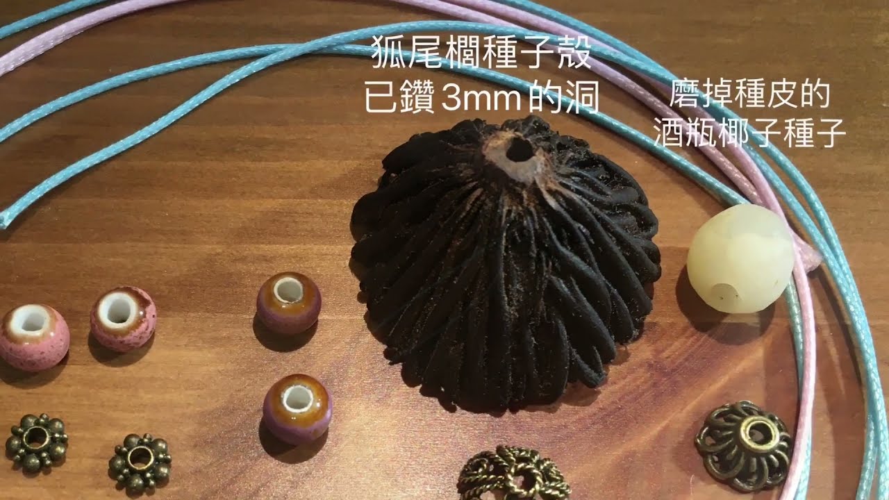種子手作-種子備料：狐尾櫚&小孩實作：狐尾櫚種子殼短裙娃娃