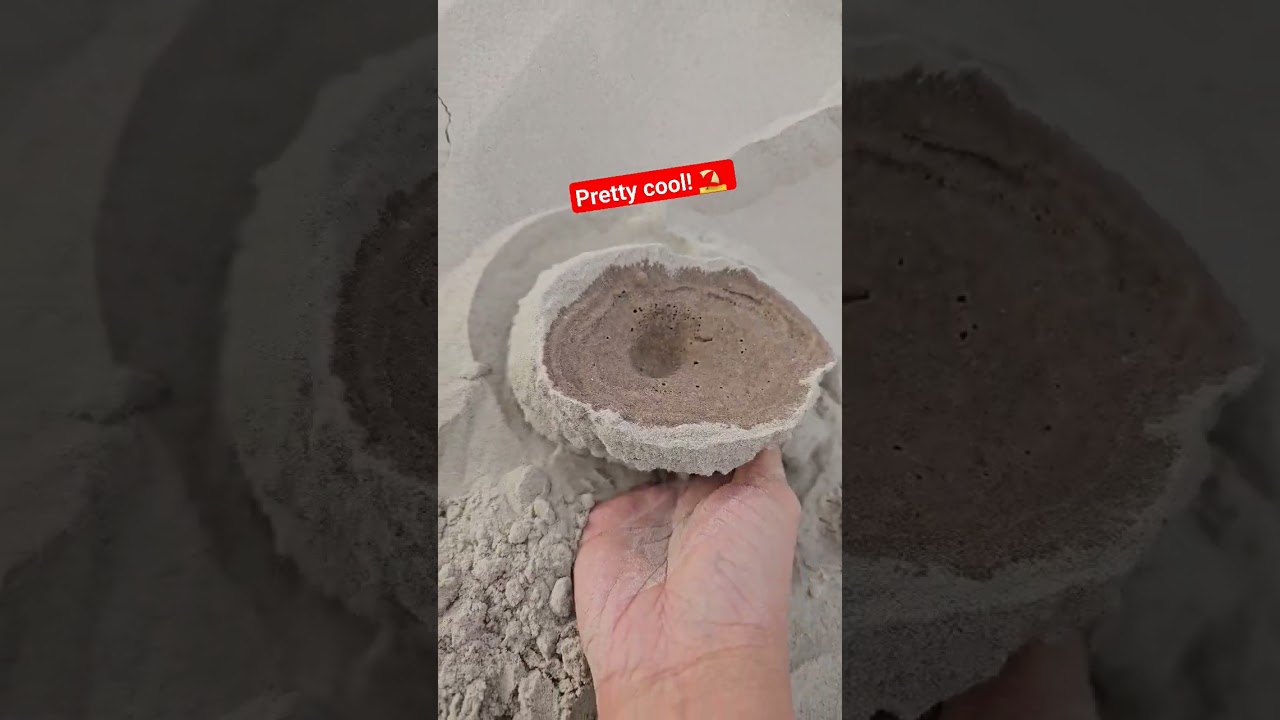 Things to do at the beach with kids |  Spring Lifehacks