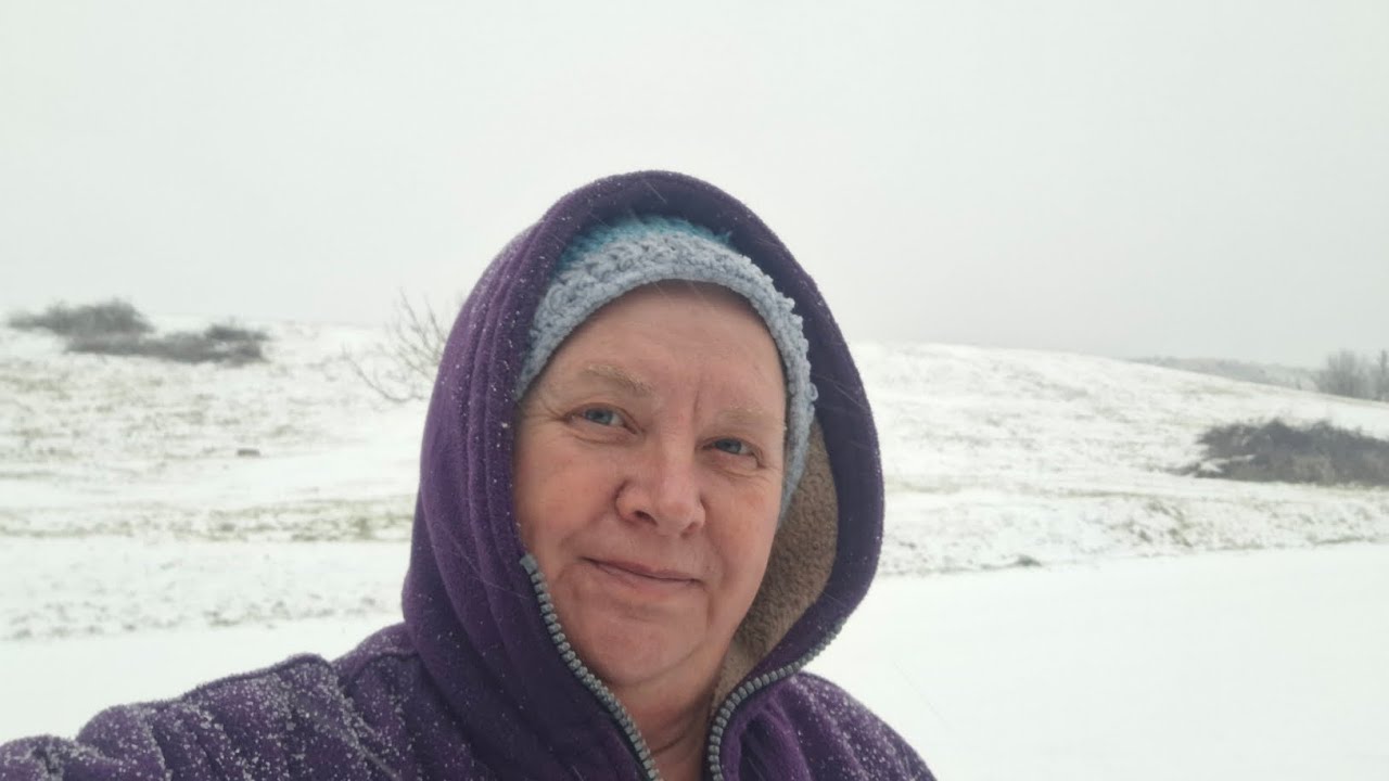 642. Привет из Крыма.  Опять метель...02.02.26.