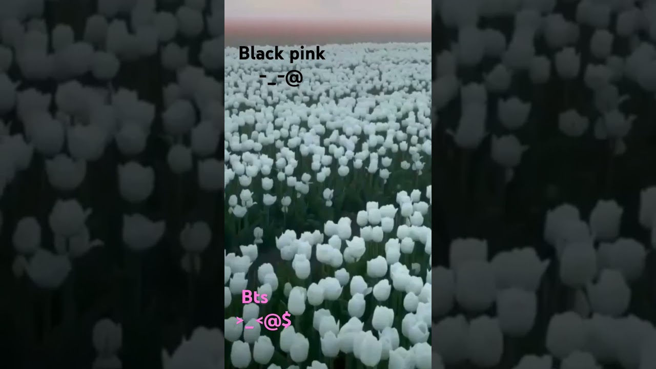 binck army girls