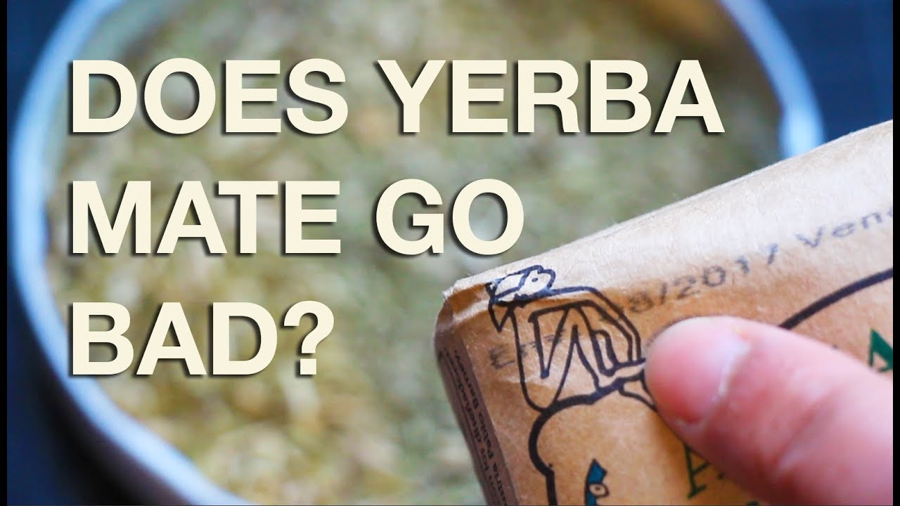 Does Yerba Mate Tea Expire? Find out here