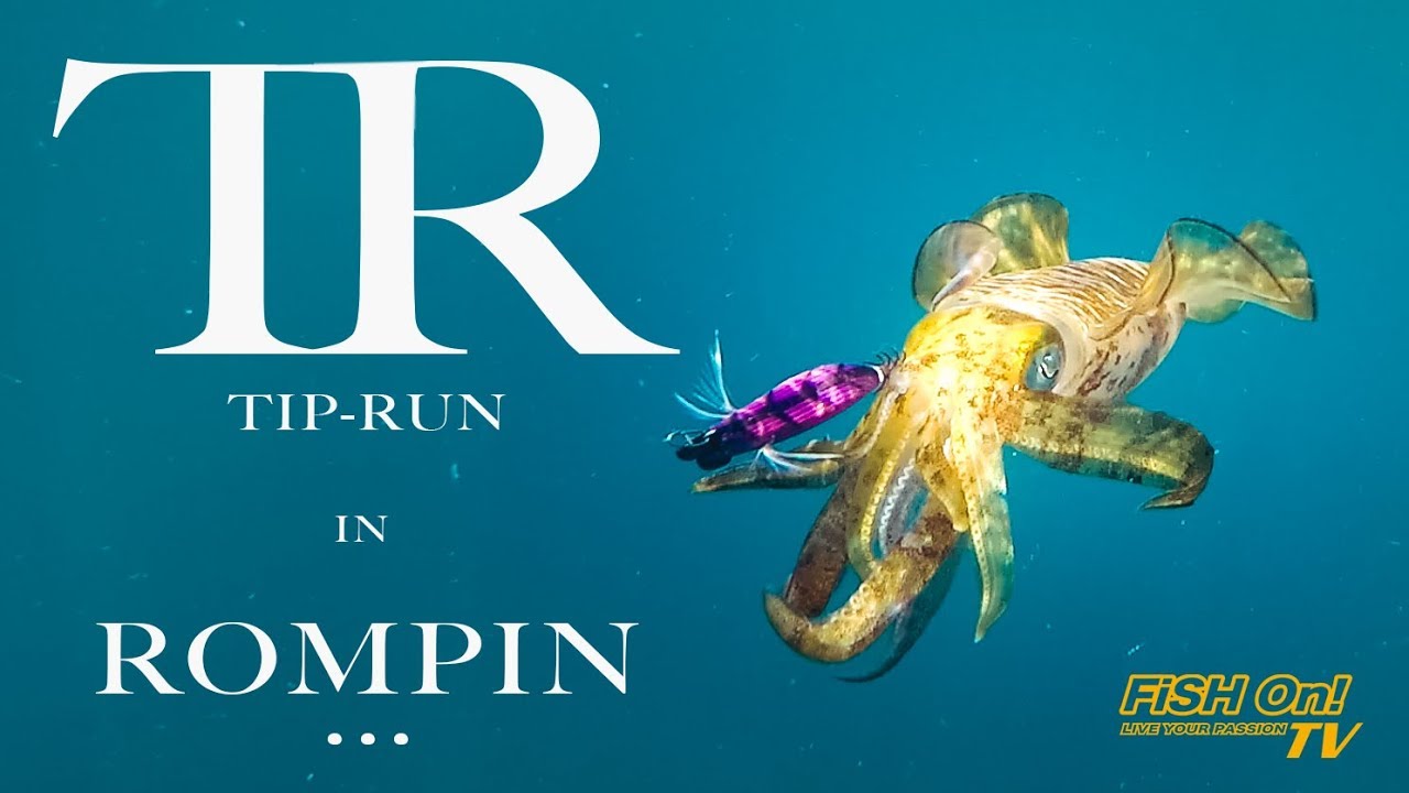 TIP-RUN Eging in Rompin