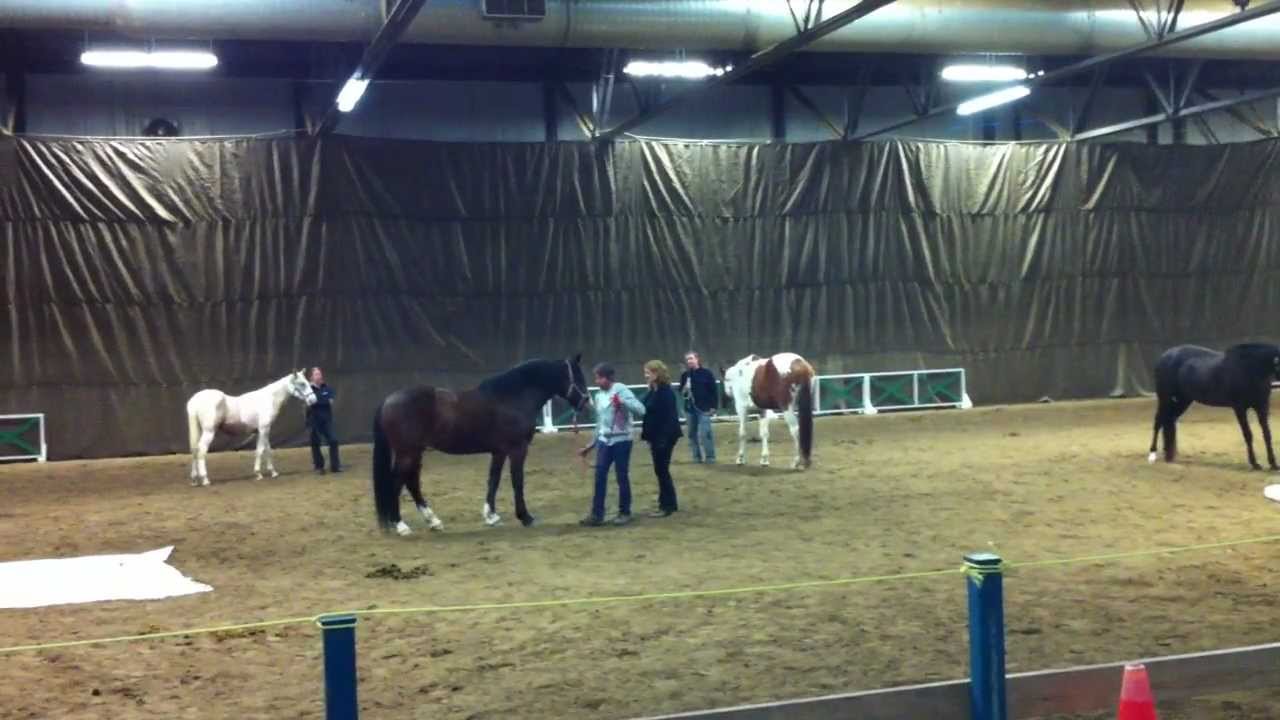 Longer un cheval J F Pignon