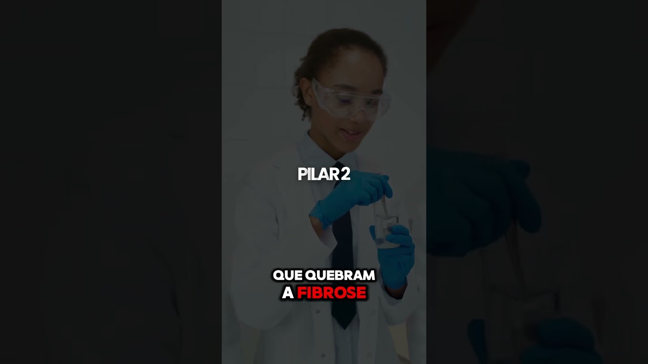 Sistema N.E.R.
