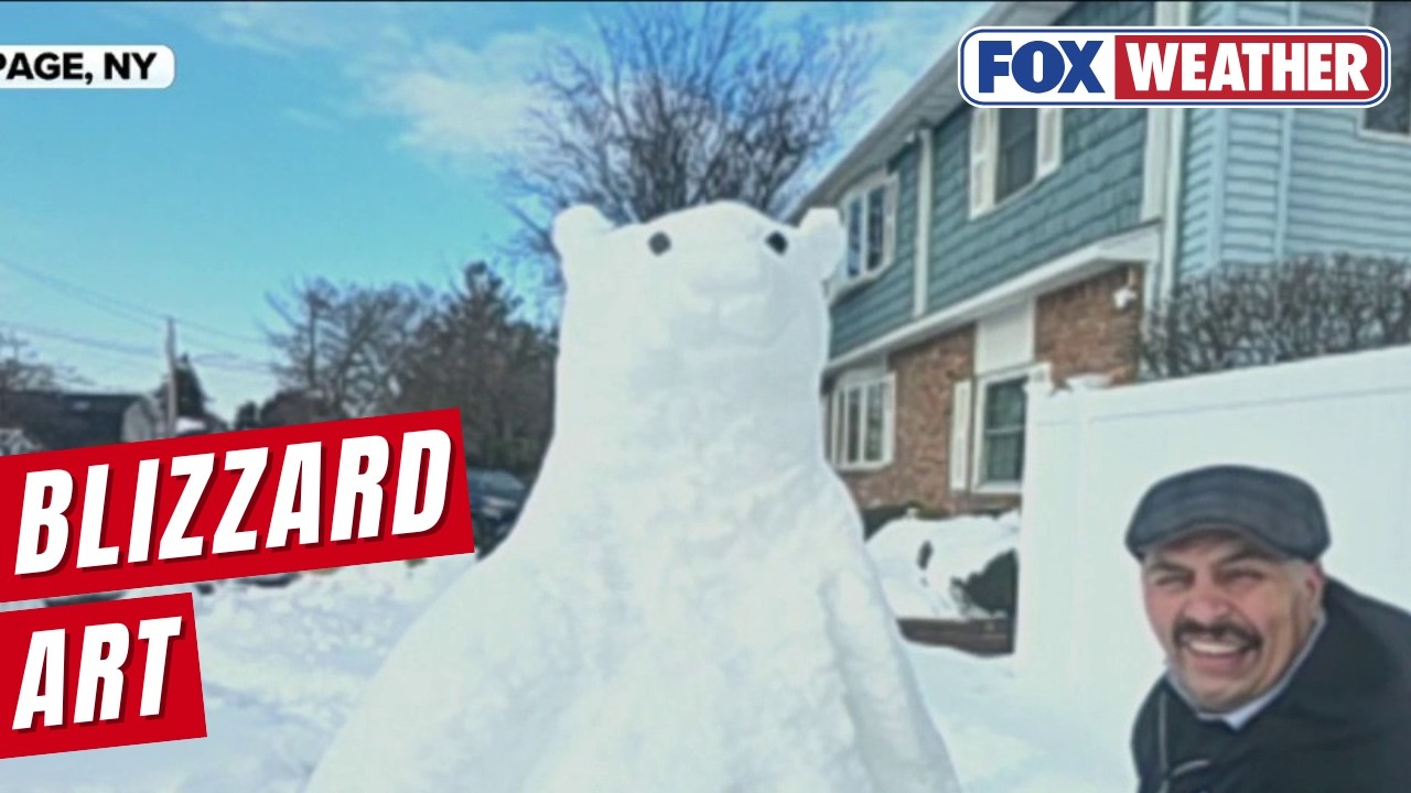 Long Island Man Turns A Blizzard Into Art