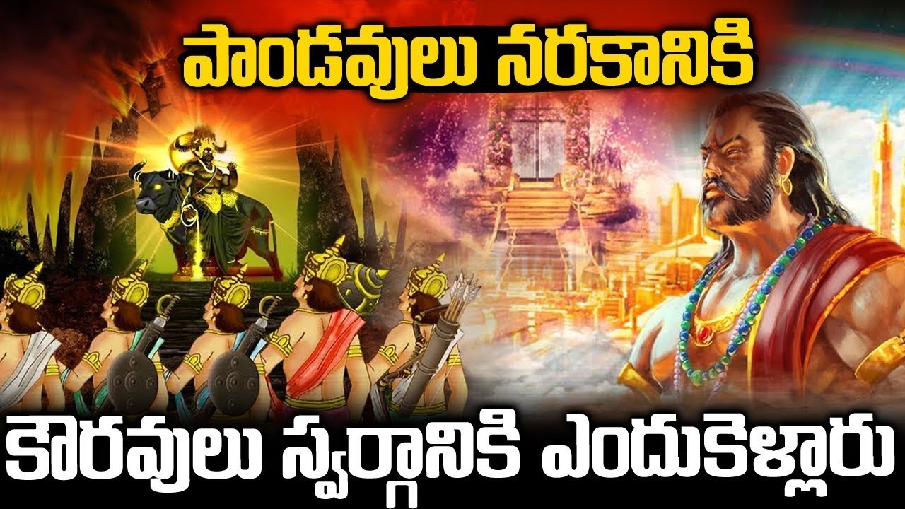 పాండవులు నరకానికి కౌరవులు స్వర్గానికి ఎందుకెళ్లారు ? | Kaurvas in Heaven& Pandavas In Hell | TW