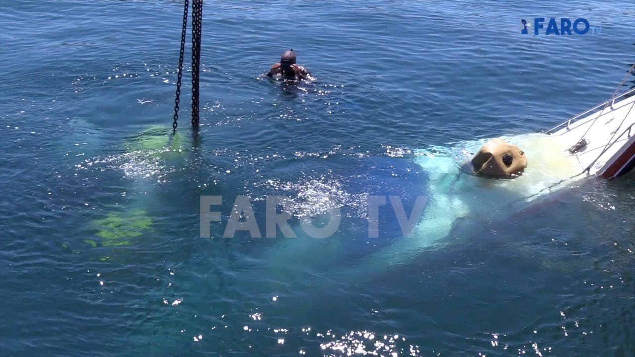 Costosas labores para reflotar una lancha hundida en el muelle de España