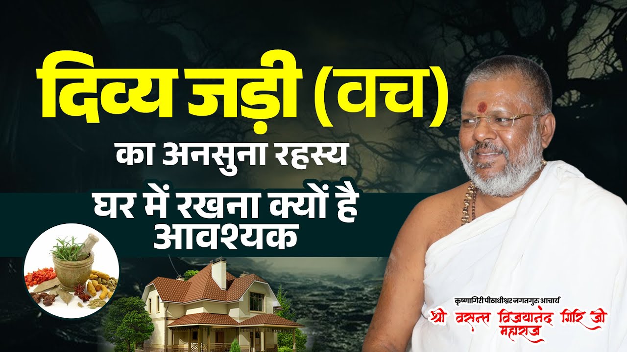 दिव्य जड़ी (वच) का अनसुना रहस्य, घर में रखना क्यों है आवश्यक #VedicScience #SanatanDharma #hinduism