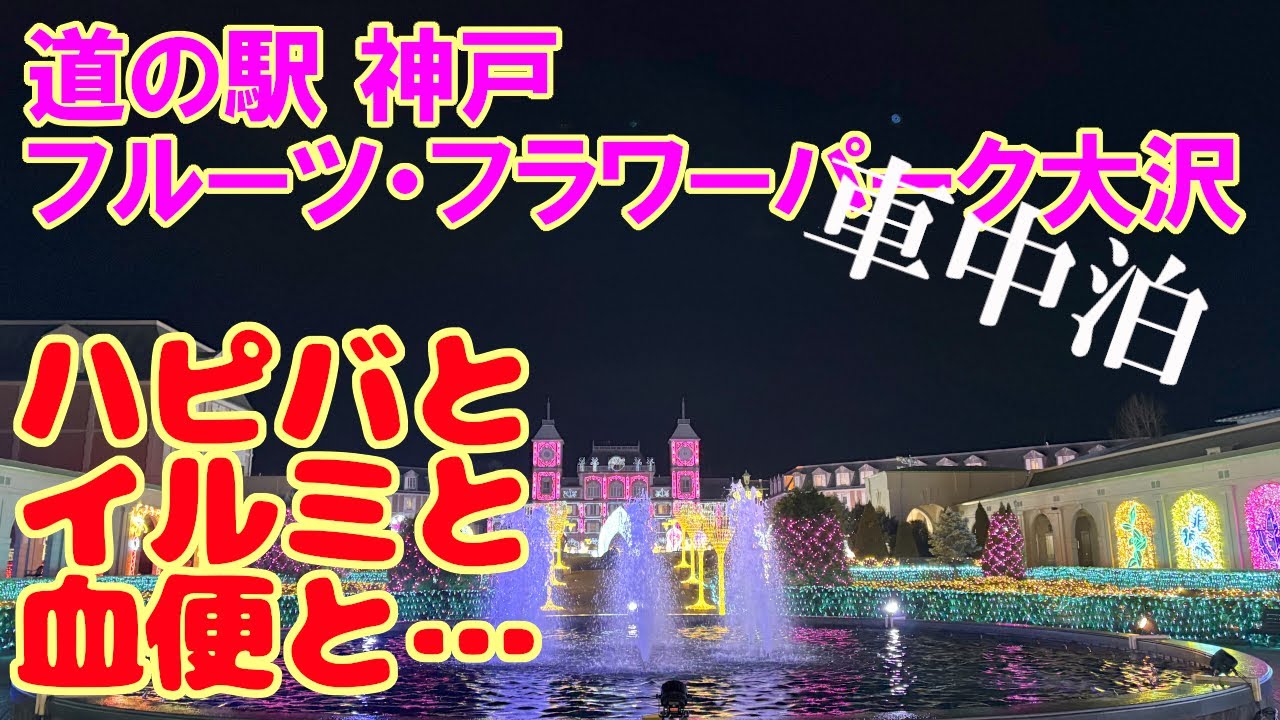 道の駅 神戸フルーツ・フラワーパーク大沢 車中泊 ～ワンコと一緒に神戸イルミナージュ～