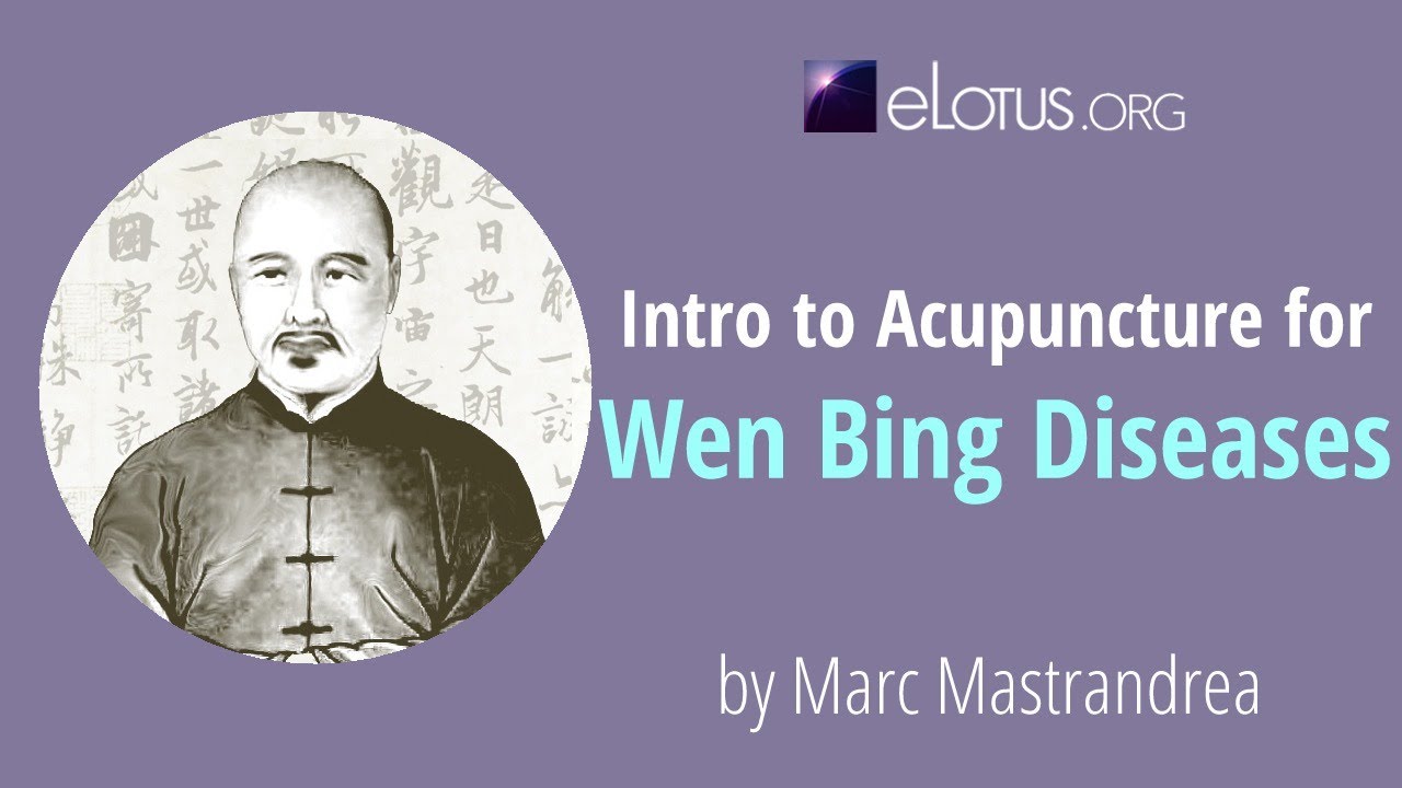 Intro to Acupuncture for Wen Bing Diseases