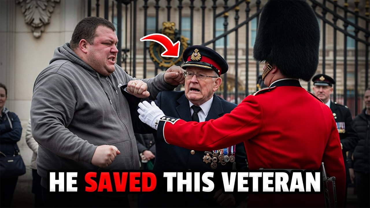 A Royal Guard Watched as Thugs Attacked a Veteran, and What Happened Next Left Them Broken