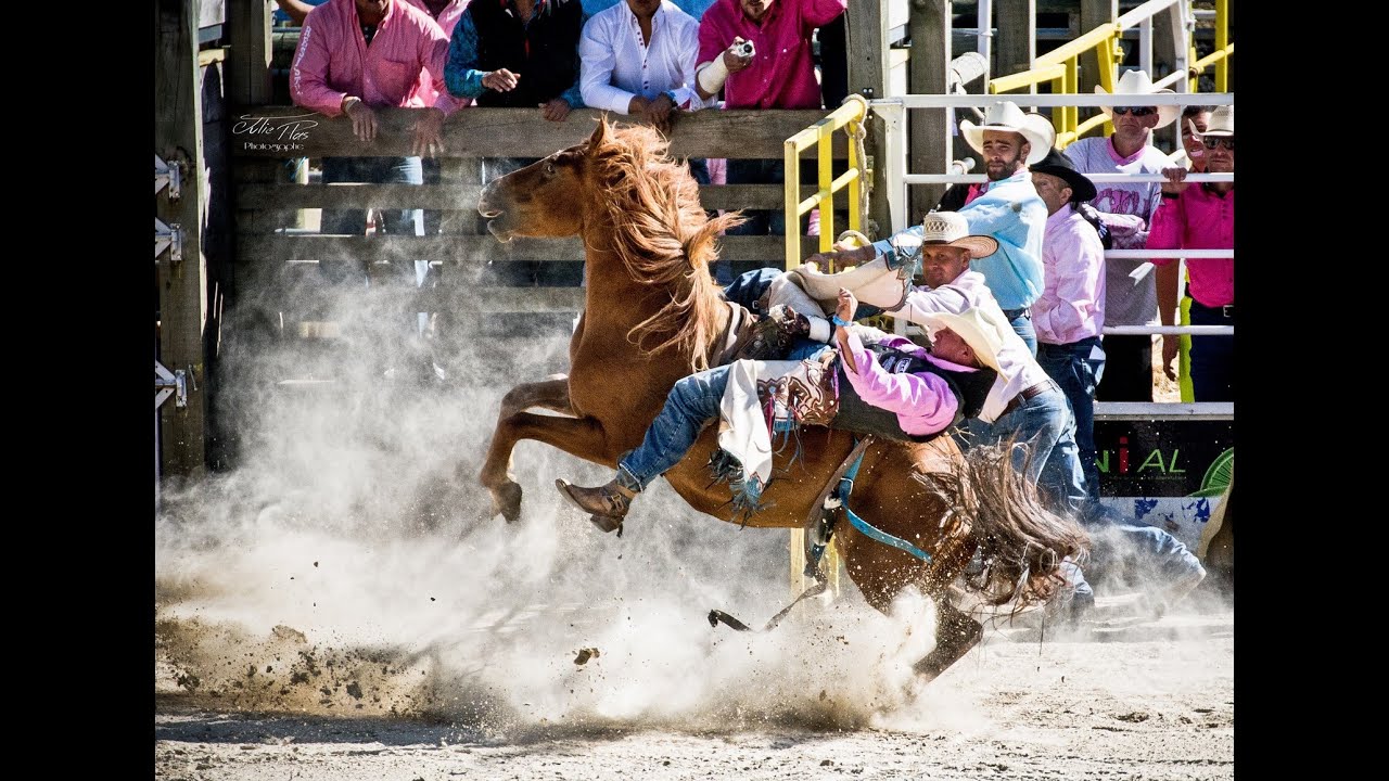 Julie Plas  Video - Equiblues 2014