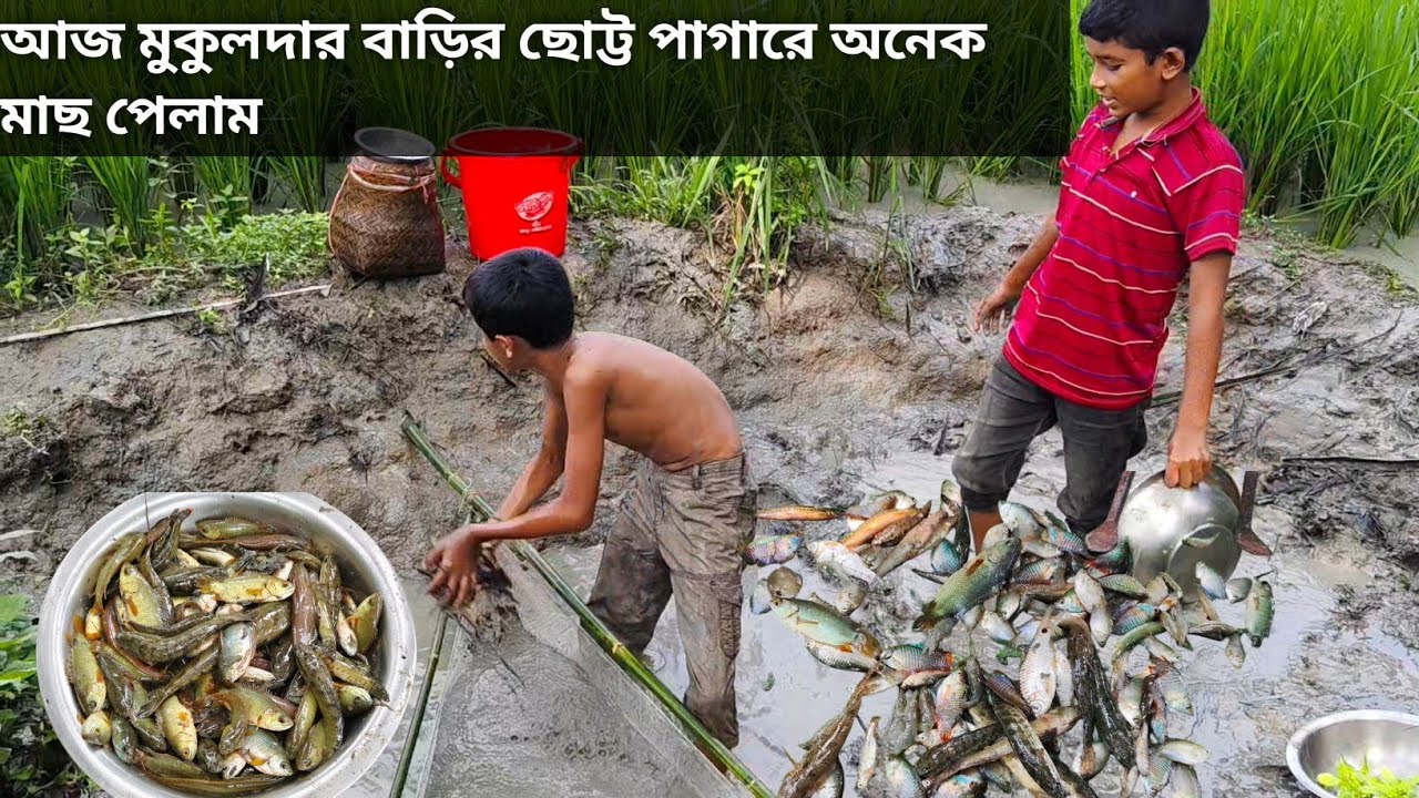 মুকুল দার বাড়ির ছোট্ট পাগাড়ে অনেক মাছ পেলাম 