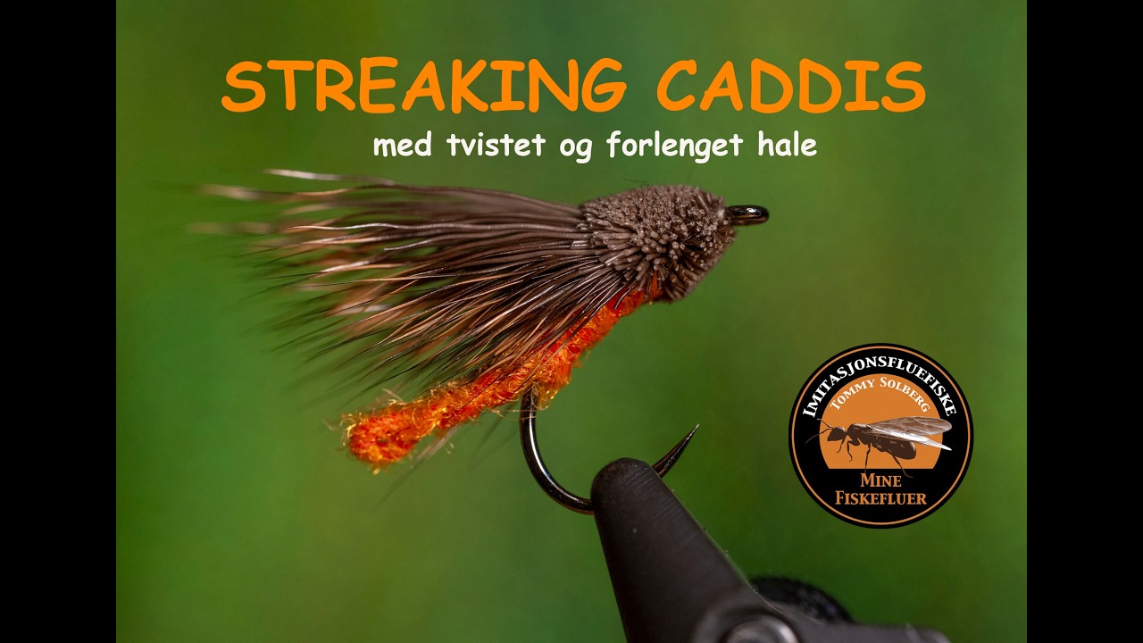 Streaking Caddis, med tvistet og forlenget kropp / hale