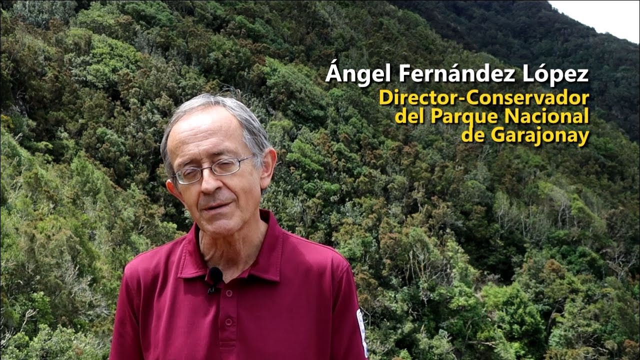 Adaptación al cambio climático en P. N. Garajonay. Proteger la laurisilva y los endemismos insulares