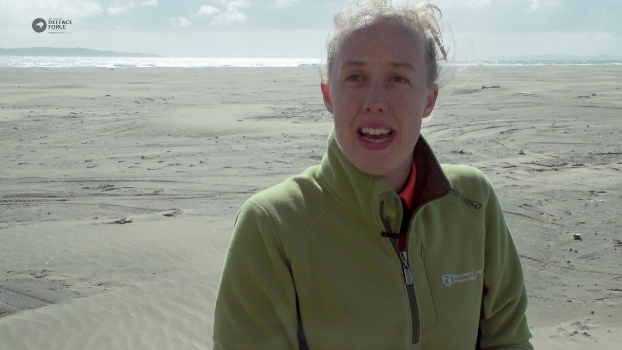 Helping protect tara iti