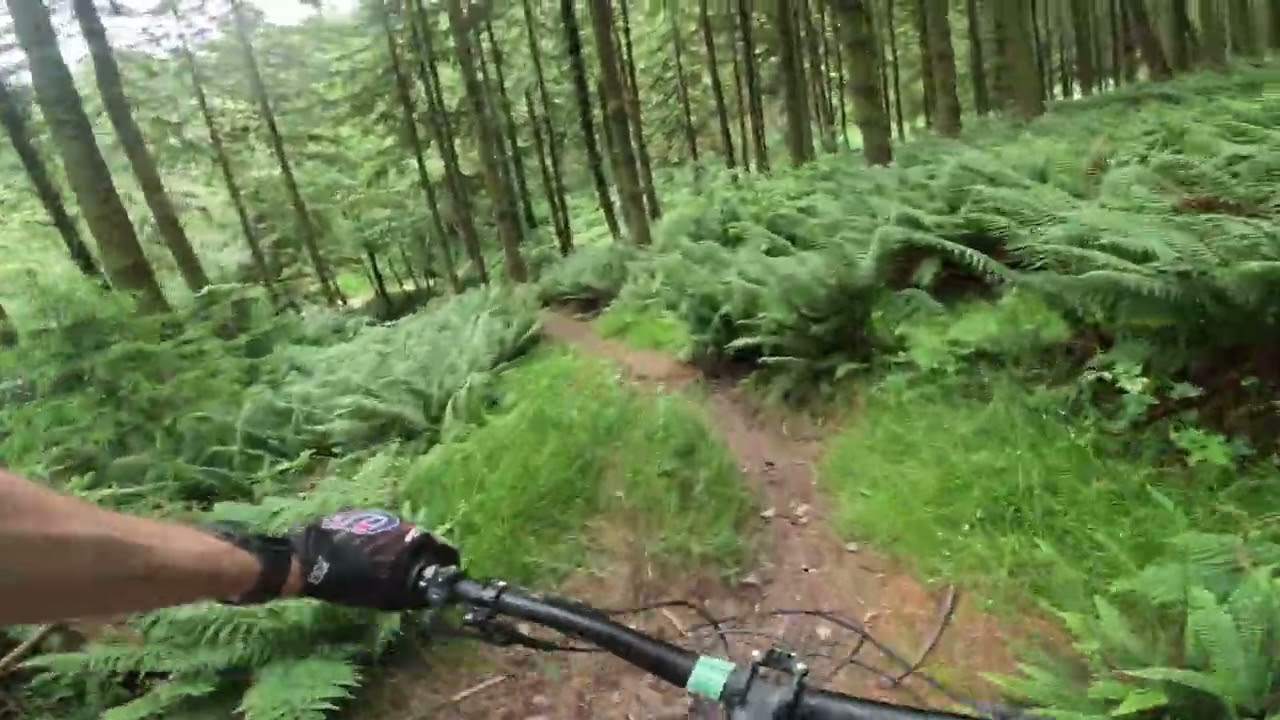 Triscombe Stone Trails - Are all these trails really blue grade?