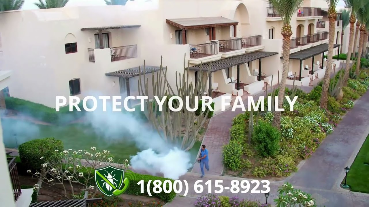 Top 3 Pest Control in Discovery Bay