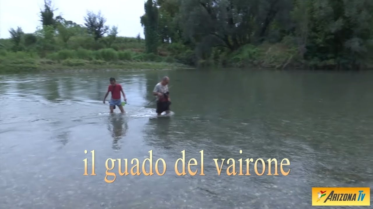 MONDO PESCA - IL GUADO DEL VAIRONE - FIUME SERIO - MOZZANICA BERGAMO - #pescasportiva