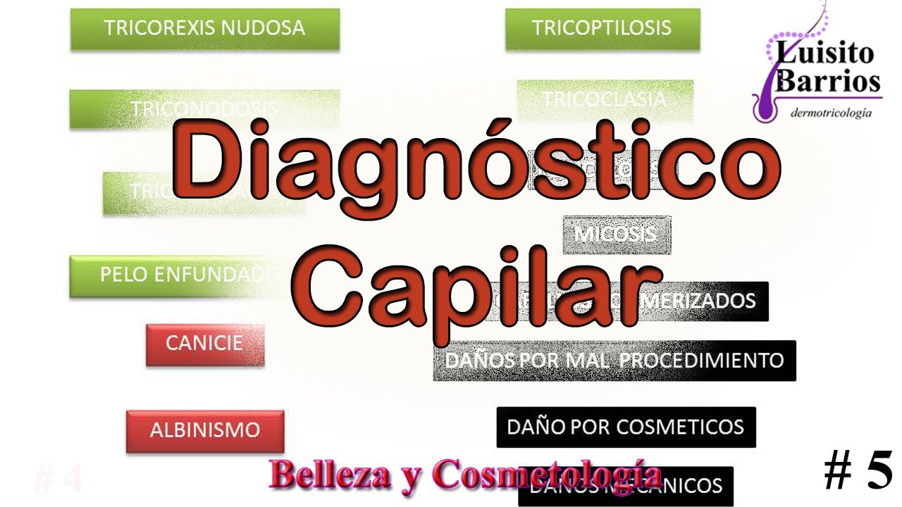 Curso Diagnóstico Capilar parte 5