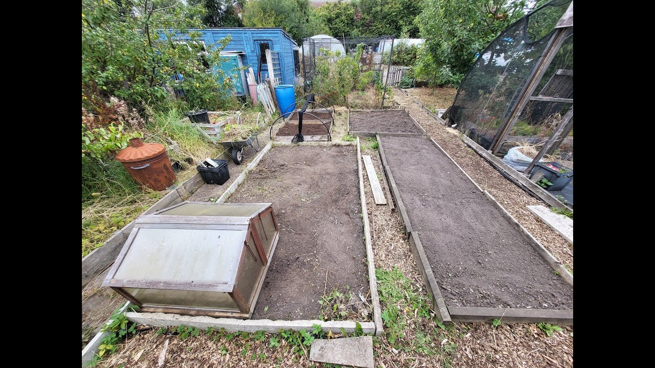 Another day at Boggy Creek Allotment