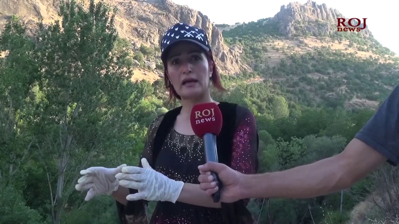 ژینگە دۆستان