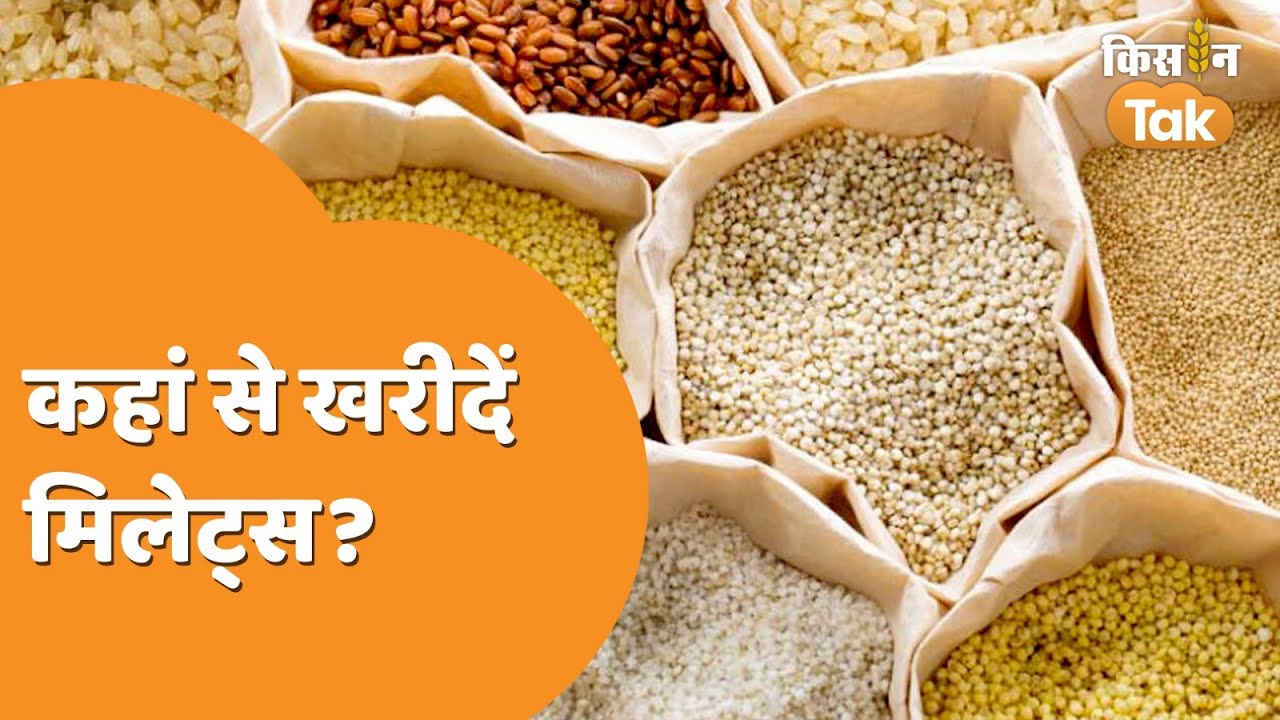 Where to buy Millets: इस वीडियो में जानें कहां से खरीदें मिलेट्स या मोटा अनाज | Millets | Kisan Tak
