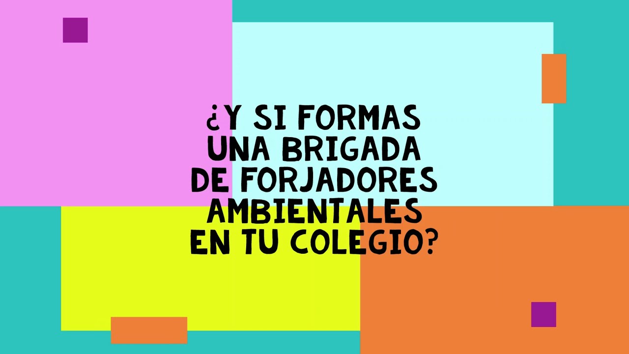 Fluvialito 2020: Forjadores Ambientales