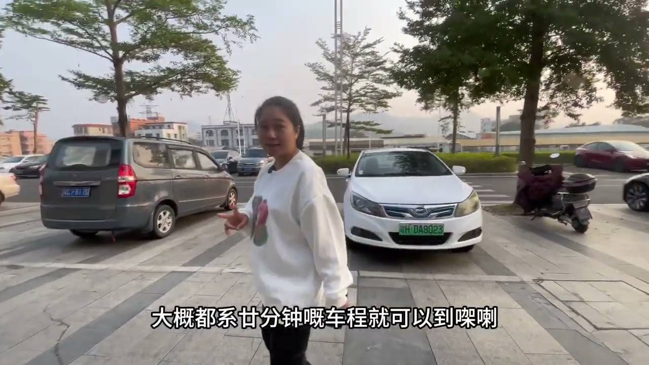 华发观山水