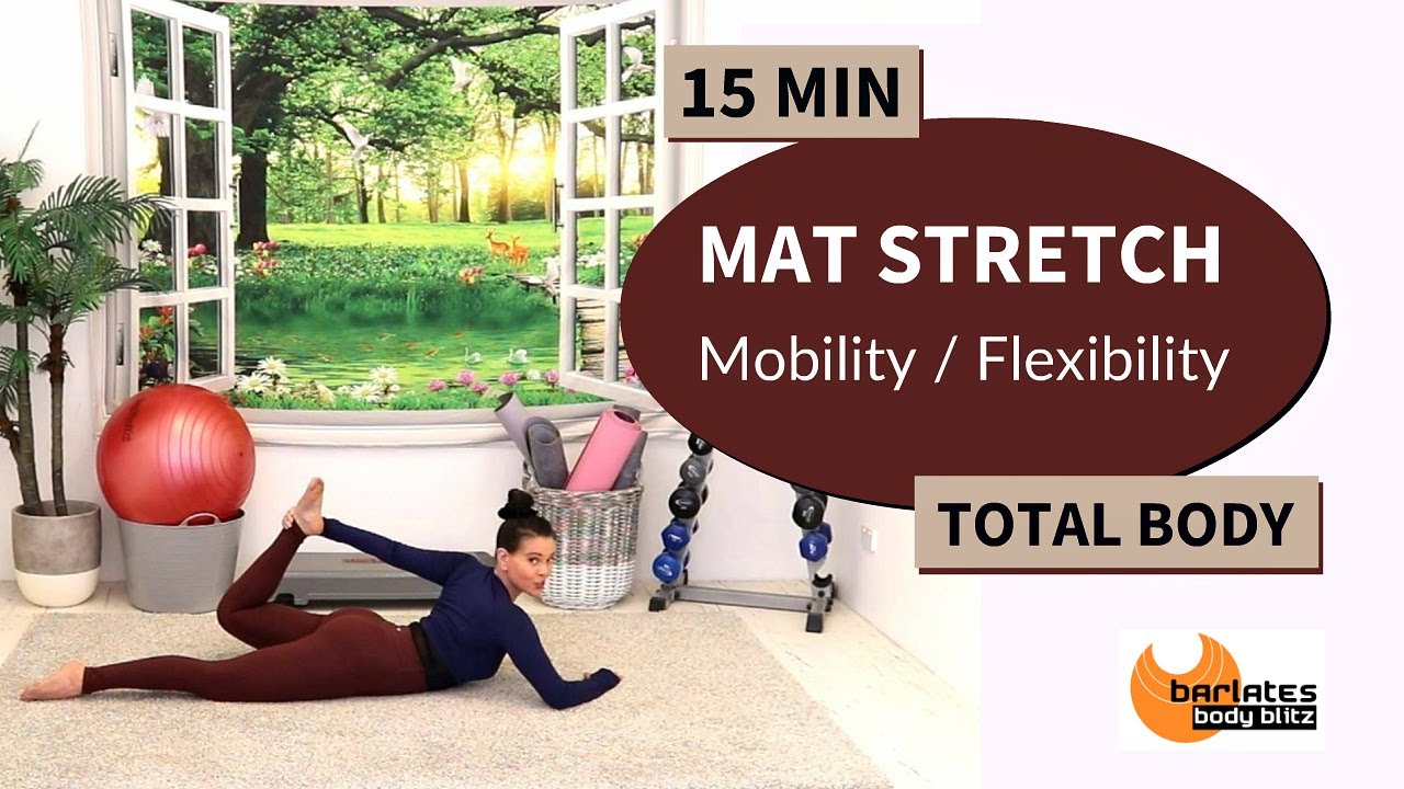15 MIN FULL BODY STRETCH / MAT ONLY / MOBILITY, FLEXIBILITY, DYNAMIC STRETCH WORKOUT / No Equipment