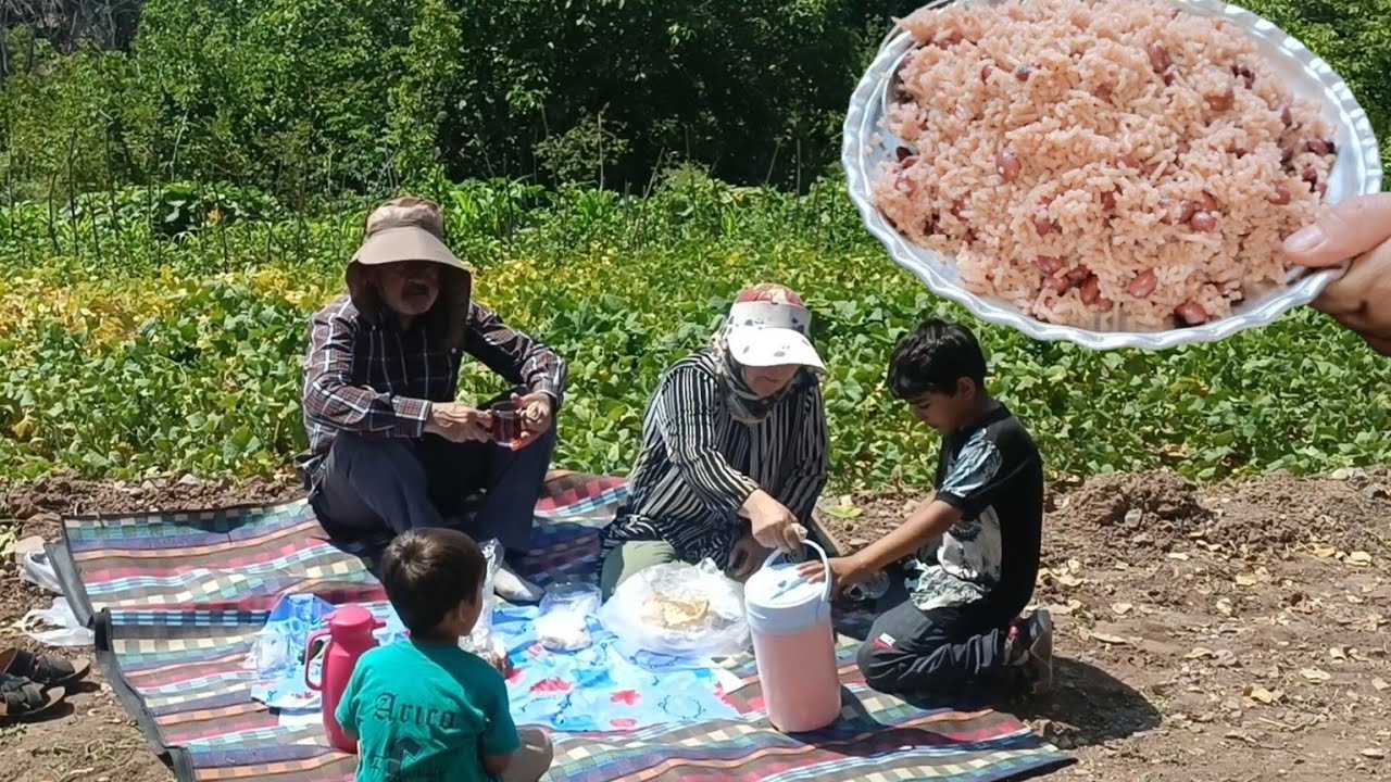 We Harvested Red Beans and Cooked a Traditional Vegan Dish | Peaceful Morning on the Farm