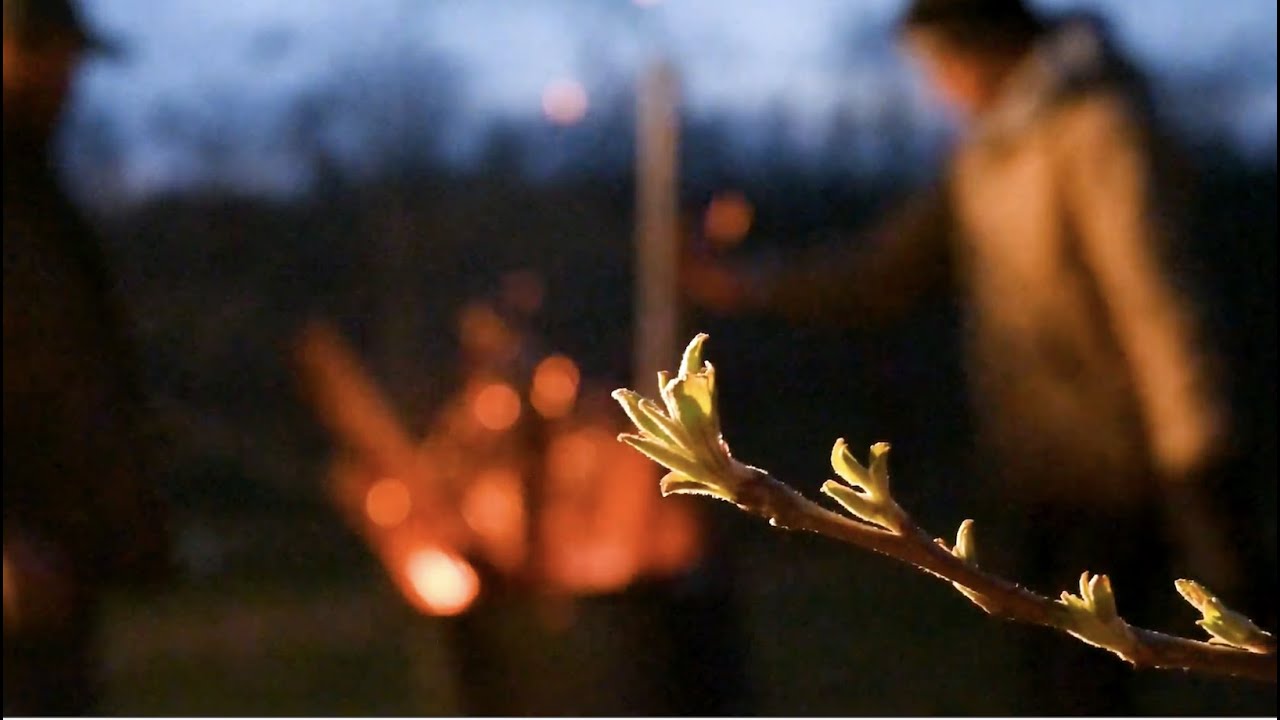 Otter Creek Orchard: Frost prevention on an apple orchard in Iowa