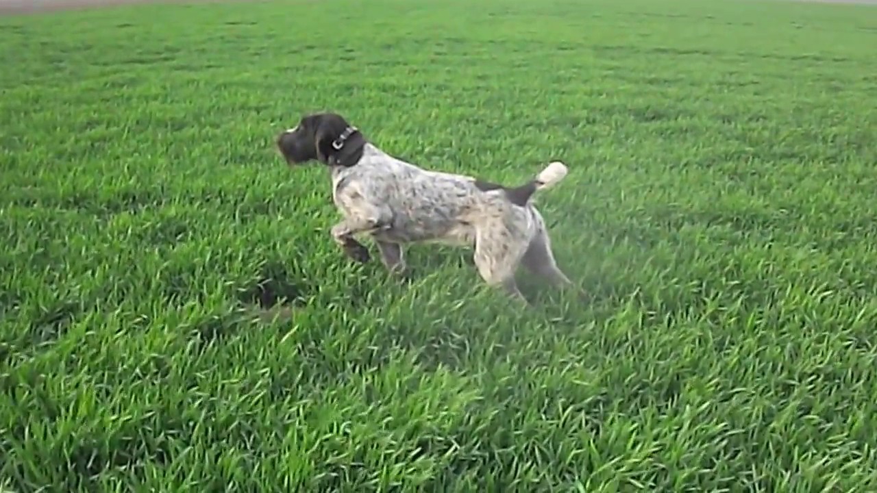 VrbasPannonianSea- Ulf vom. Liether- Moor