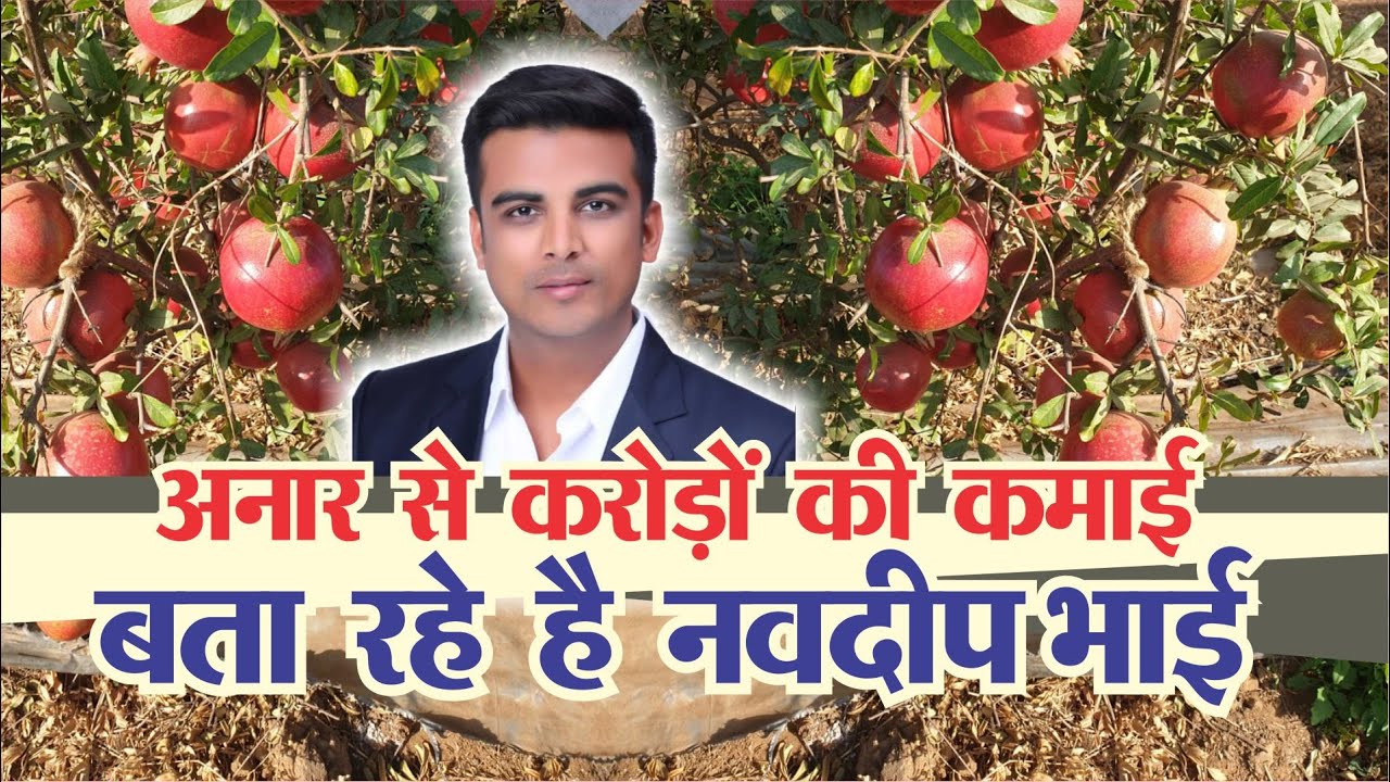 Navdeep Golecha अनार की खेती से करोड़ों कमाते हैं | Natura Farms | POMEGRANATE FARMING