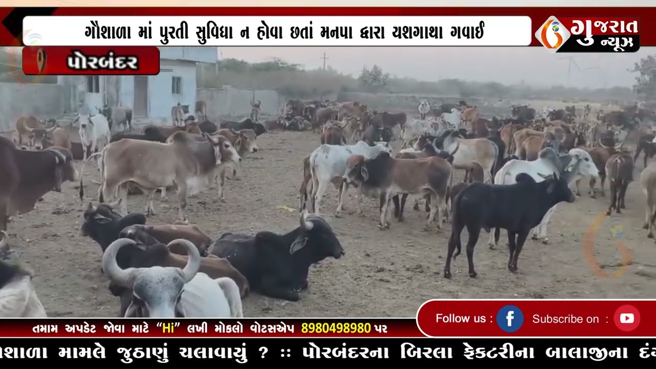 GUJARAT NEWS PORBANDAR 25 03 2026