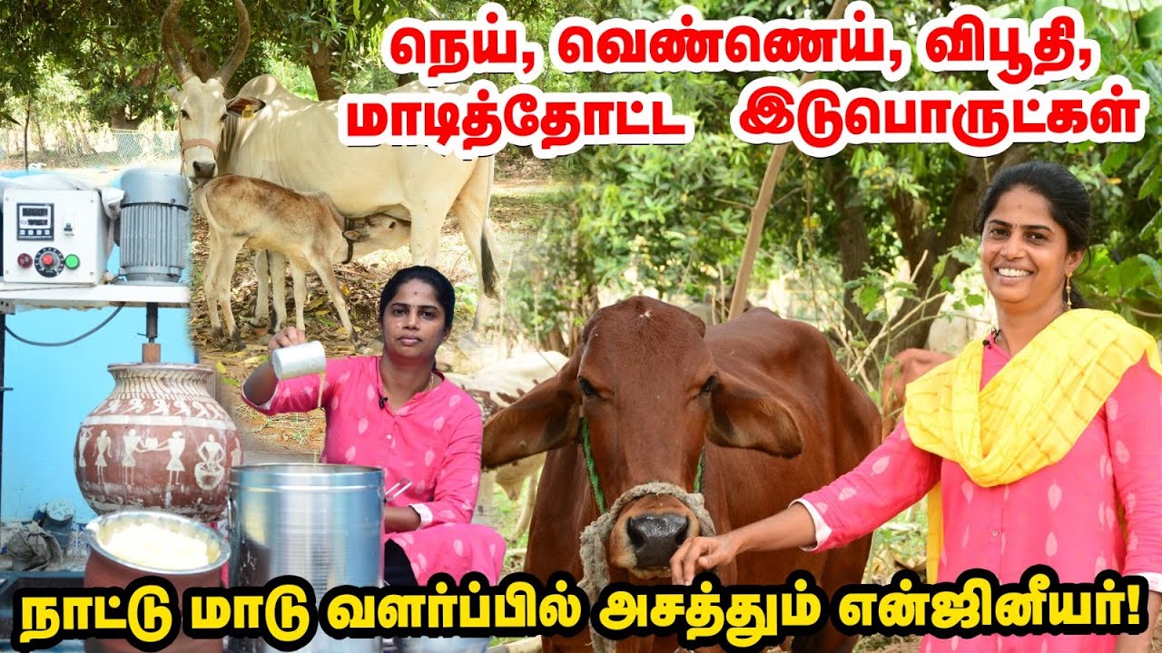 70 நாட்டு மாடுகள்... பல்வேறு மதிப்புக்கூட்டுப் பொருட்கள்... Cattle Farm-ல் அசத்தும் என்ஜினீயர்!