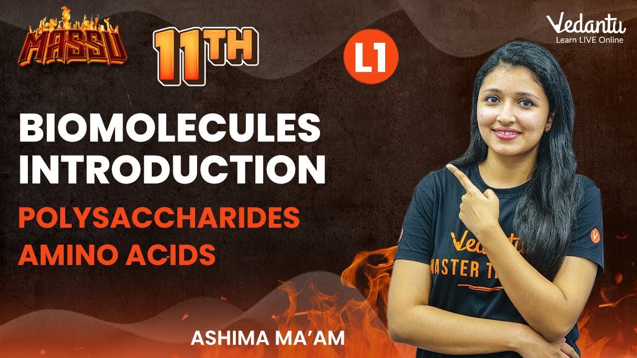 Biomolecules Introduction | Polysaccharides | Amino Acids | Class 11 | Ashima ma'am | V Master