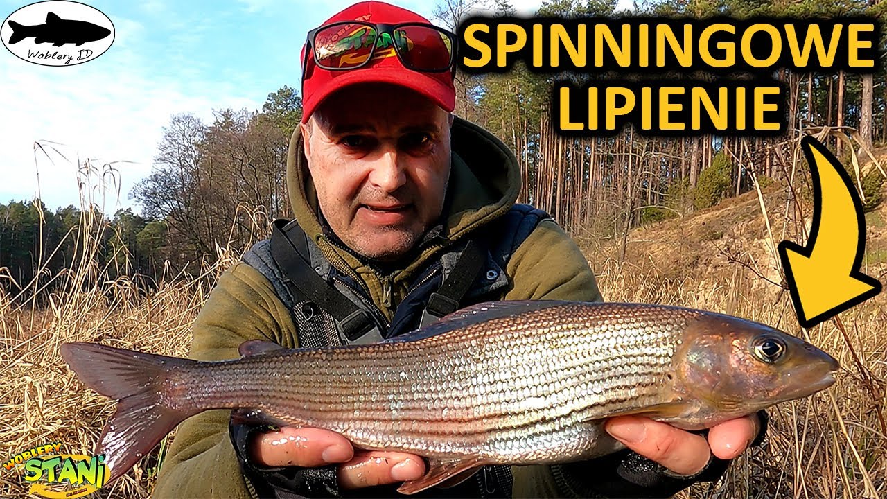 Lipienie na spinning